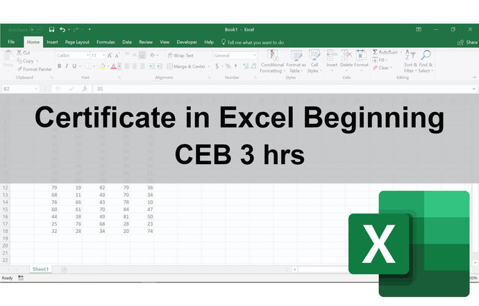 Certificate in Excel Beginning