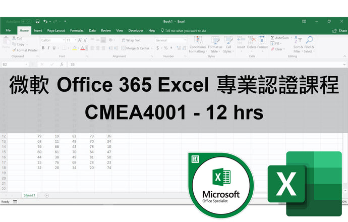 微軟 Office 365 Excel 專業認證課程