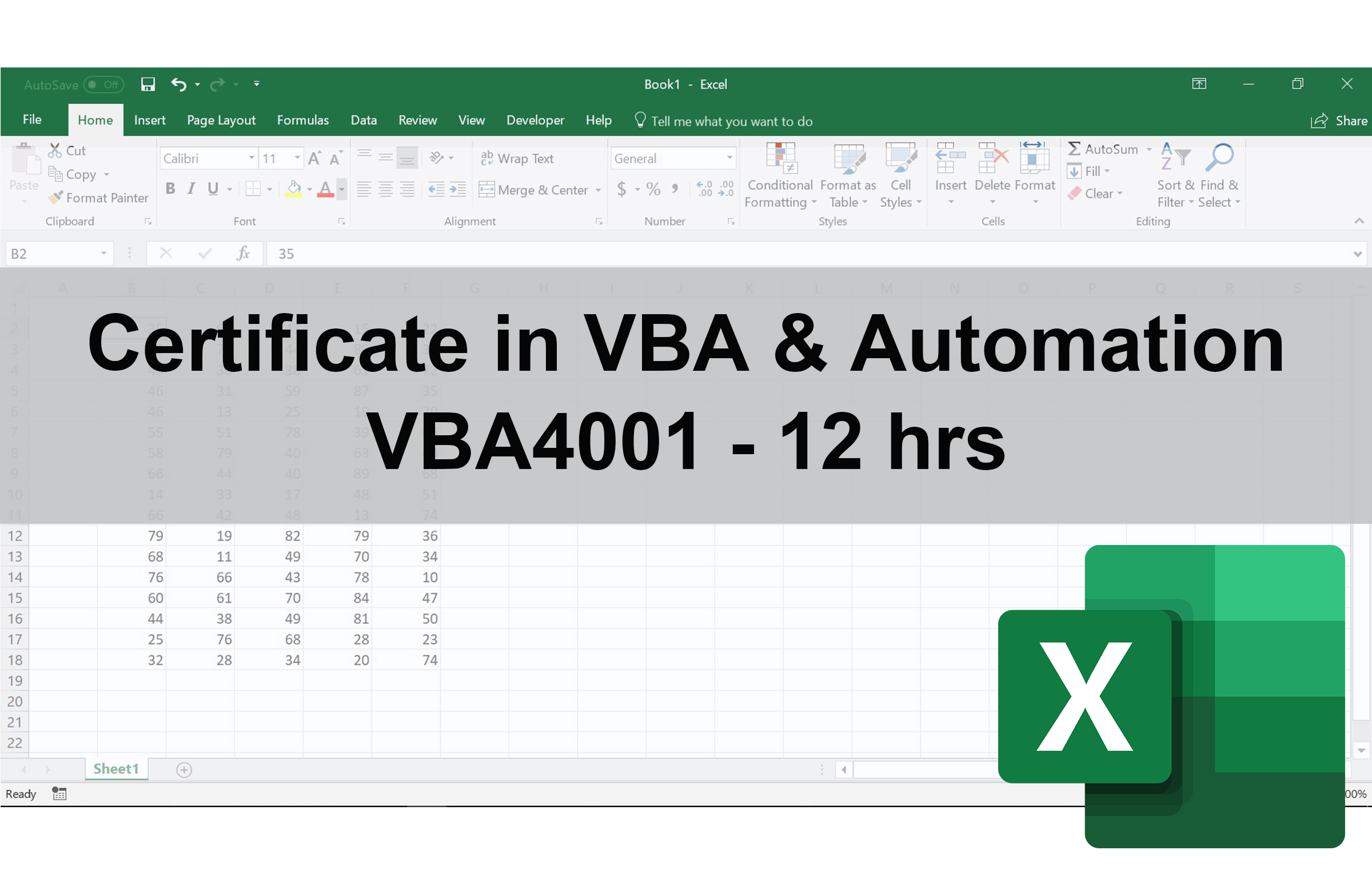 Certificate in Excel VBA Programming & Automation