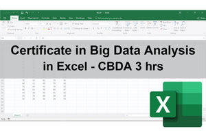 Certificate in Big Data Analysis in Excel