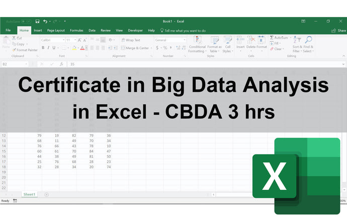 Certificate in Big Data Analysis in Excel
