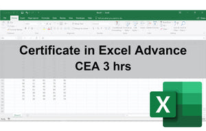 Certificate in Excel Advance