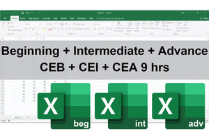 Certificate in Excel Beginning, Intermediate & Advance