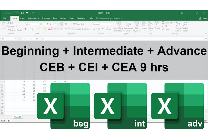 Certificate in Excel Beginning, Intermediate & Advance