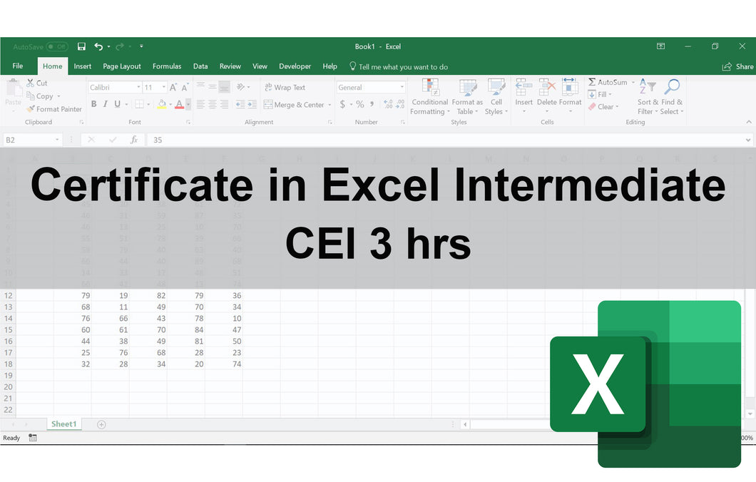 Certificate in Excel Intermediate